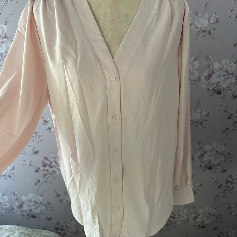 Pale Pink Button-Up Blouse